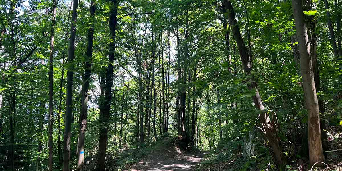 Conad e Chep insieme per la sostenibilità nella Valle Camonica